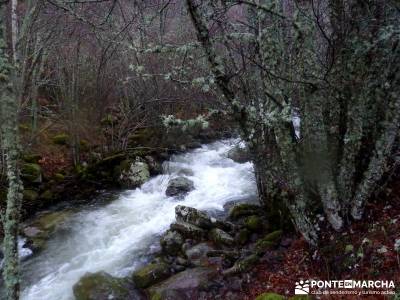 Valle del Ambroz-Sierra de Bejar - Gredos; foro senderismo madrid;rutas senderismo madrid faciles